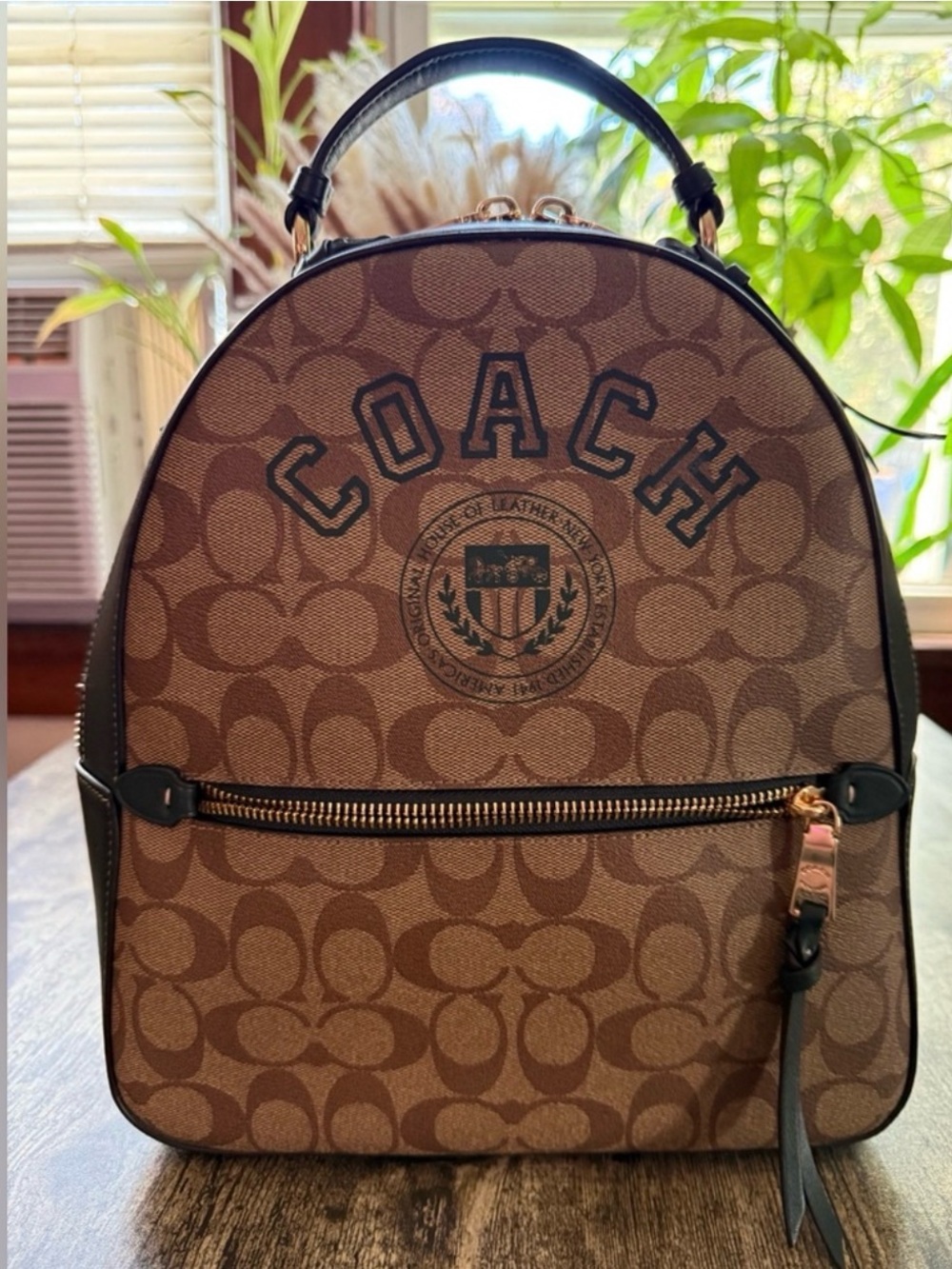 Coach Brown Logo Signature Mini Backpack with Dark Green Trim